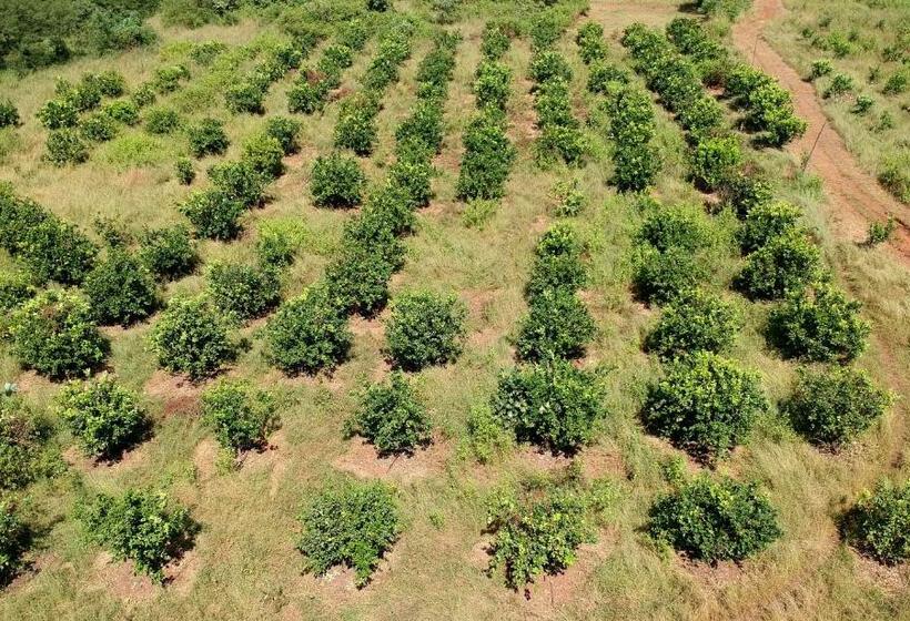 فيلا 3 غرف نوم, The Farm Retreat