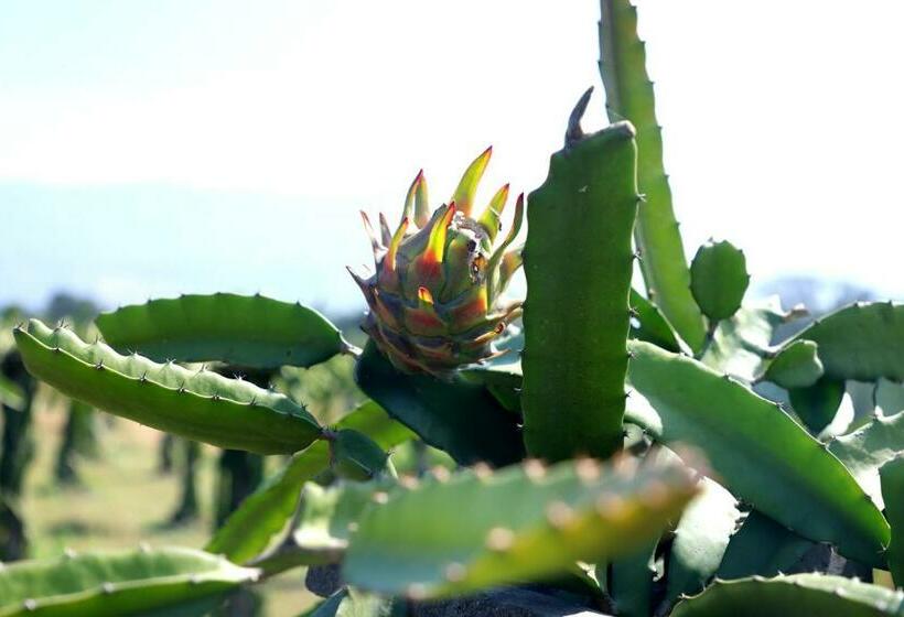 فيلا 3 غرف نوم, The Farm Retreat