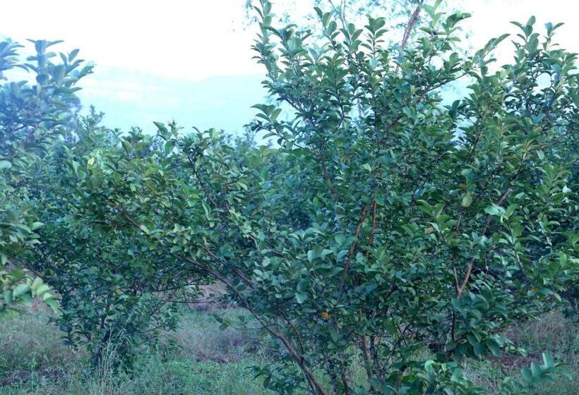 غرفة ديلوكس, The Farm Retreat