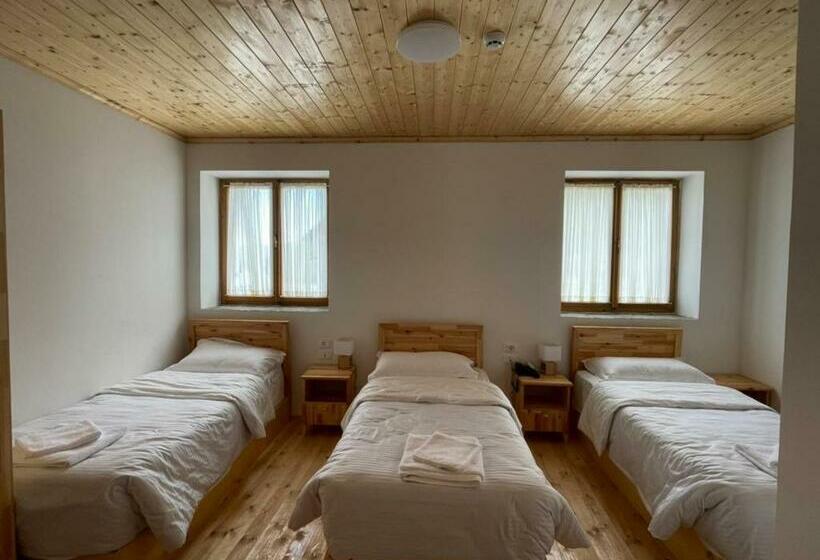 标准三人间, Vermoshi Tdc