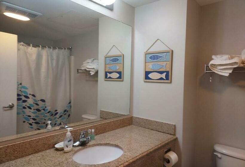 스탠다드 스튜디오, Oc North Beach Ocean Front Condo With Spectacular Views