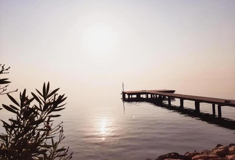 스탠다드 룸, Picnic Room And Pool