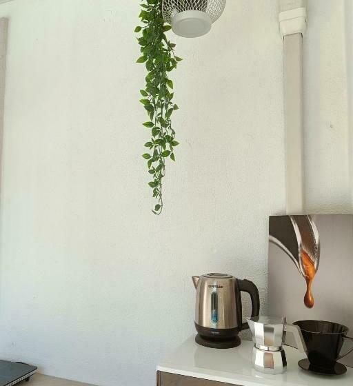 스탠다드 룸, Picnic Room And Pool