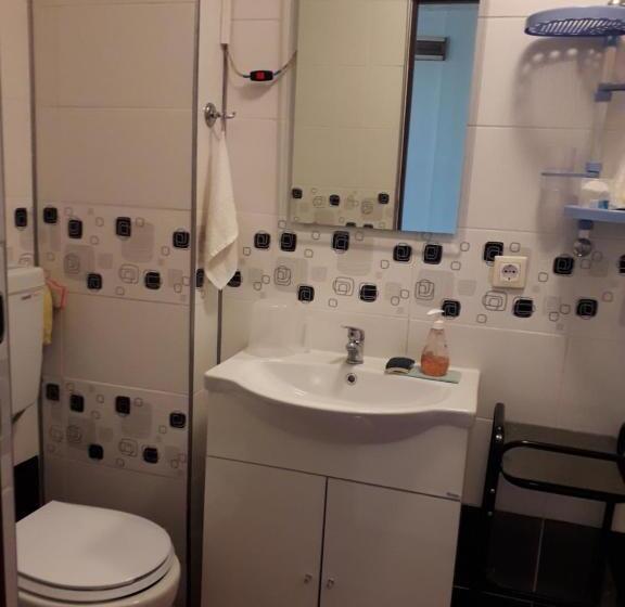 اتاق خانوادگی, Vila Roz