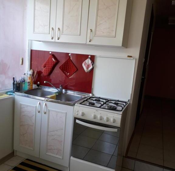 اتاق خانوادگی, Vila Roz