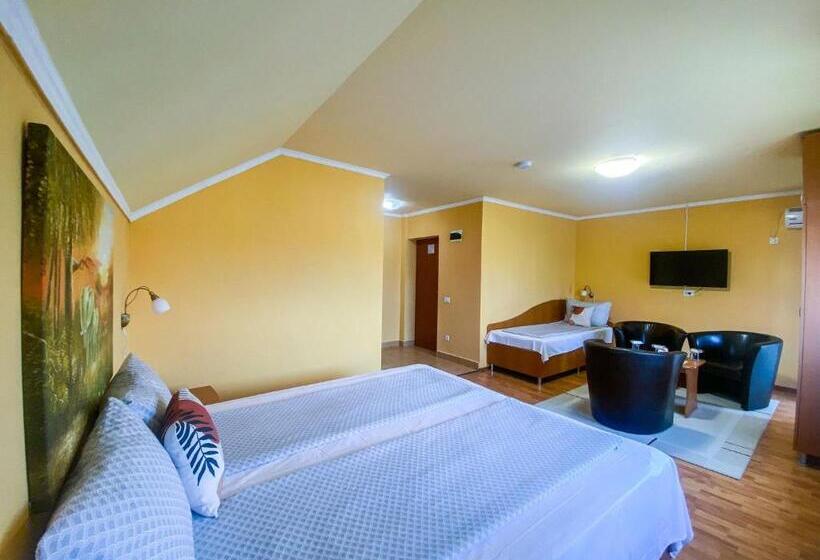 디럭스 트리플 룸, Pensiunea Tirol Baile Felix