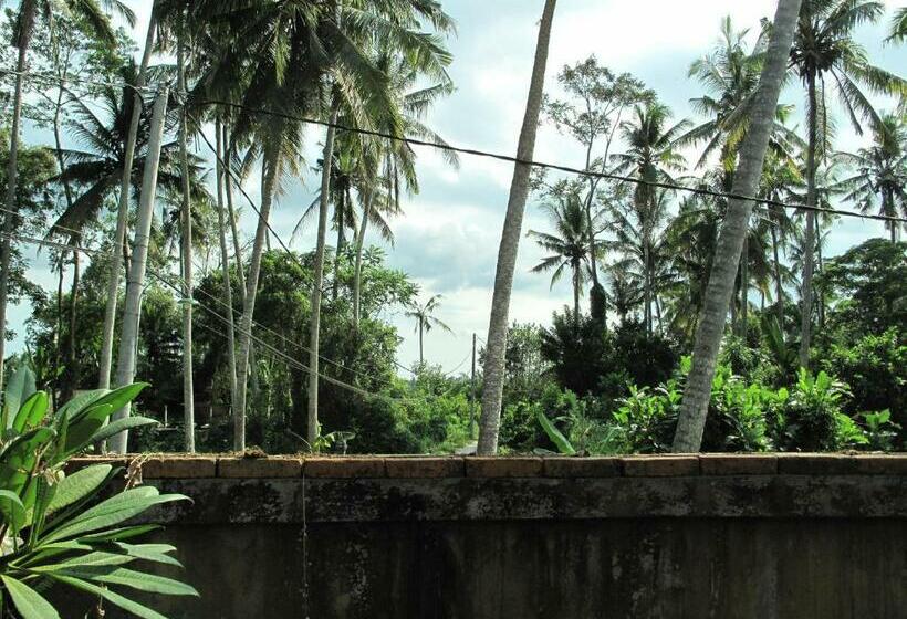 חדר דלוקס יחיד, Sunrise Coconut House