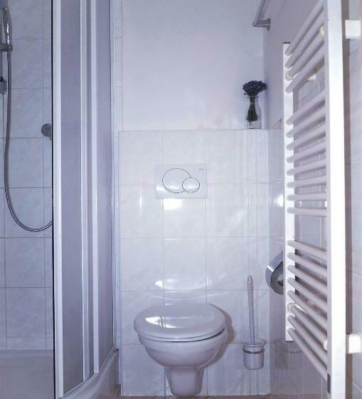 デラックスルーム, Penzion A Restaurace Sokolí Boudy