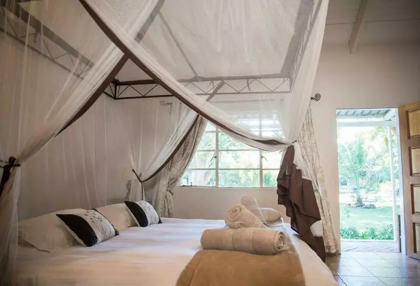 اتاق لوکس, Fawlty Towers Accommodation & Activities