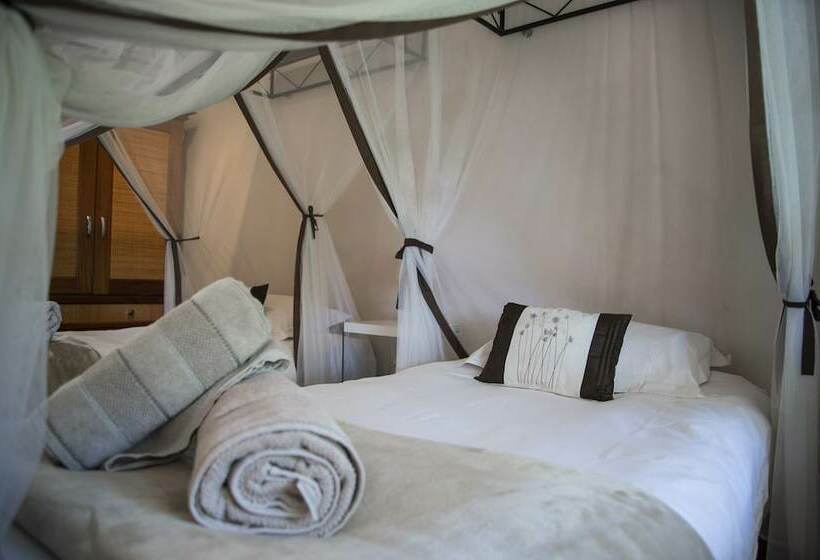 اتاق لوکس, Fawlty Towers Accommodation & Activities