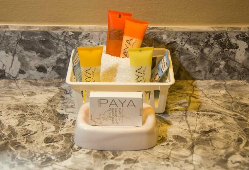 스탠다드 룸, Contenta Inn