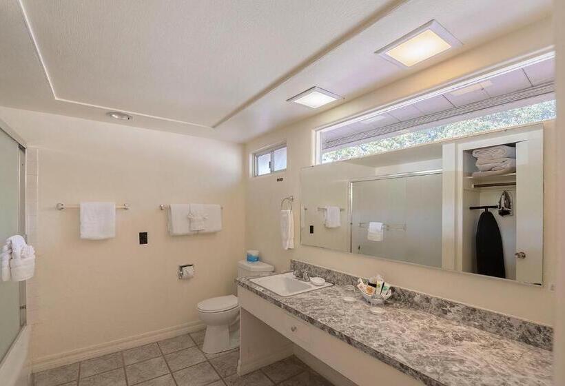 스탠다드 룸 킹사이즈 침대, Contenta Inn