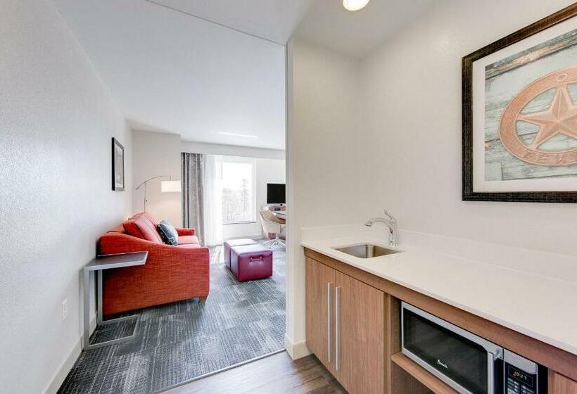 Студио Стандарт Кровать Кинг, Hampton Inn & Suites North Houston Spring