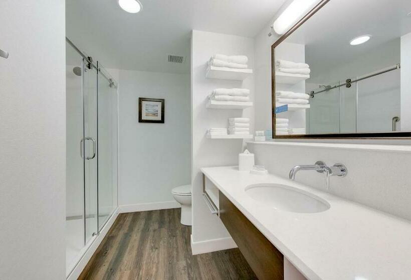 Стандартный Номер Кровать Кинг, Hampton Inn & Suites North Houston Spring