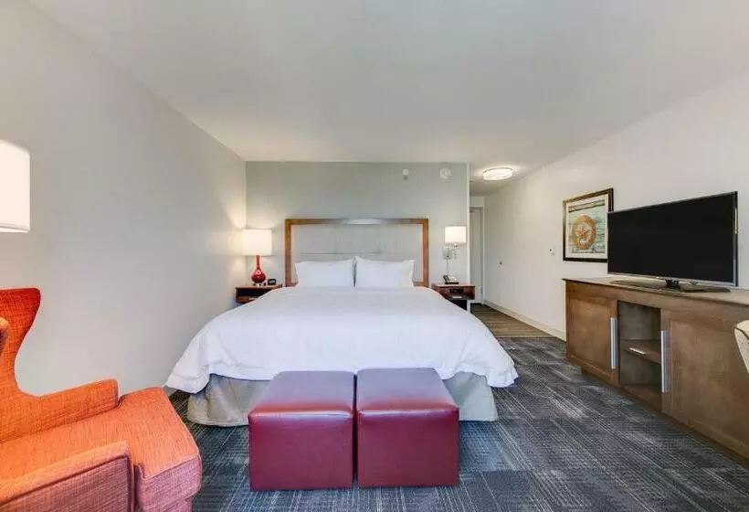 キングサイズベッドのスタンダードルーム, Hampton Inn & Suites North Houston Spring