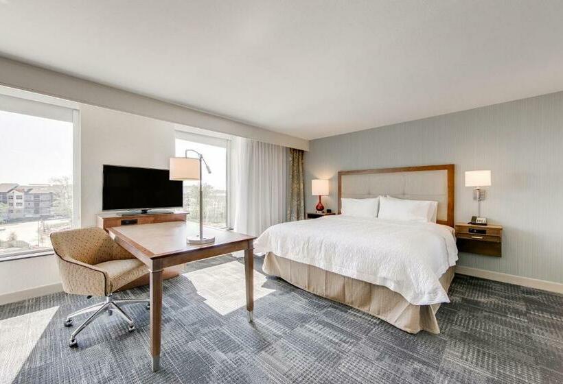 Студио Стандарт Кровать Кинг, Hampton Inn & Suites North Houston Spring