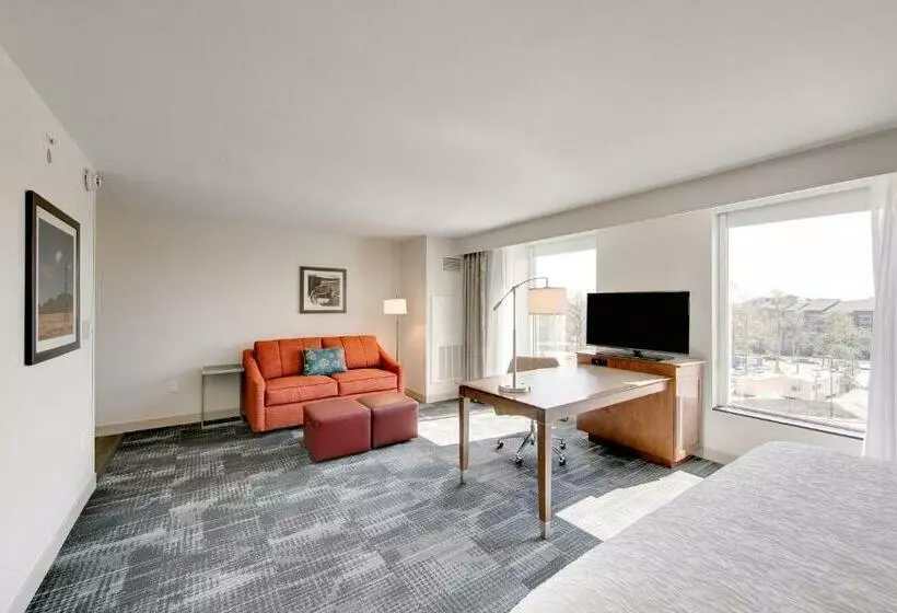 キングサイドベッドのスタンダードワンルーム, Hampton Inn & Suites North Houston Spring