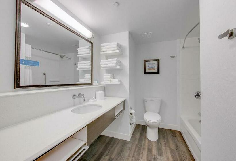 Студио Стандарт Кровать Кинг, Hampton Inn & Suites North Houston Spring