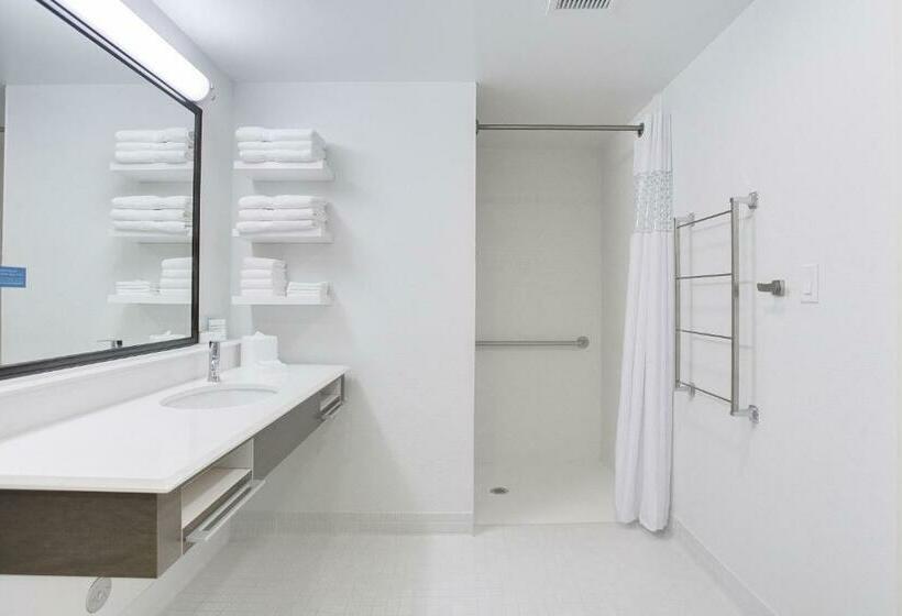 Студио Стандарт Кровать Кинг, Hampton Inn & Suites North Houston Spring