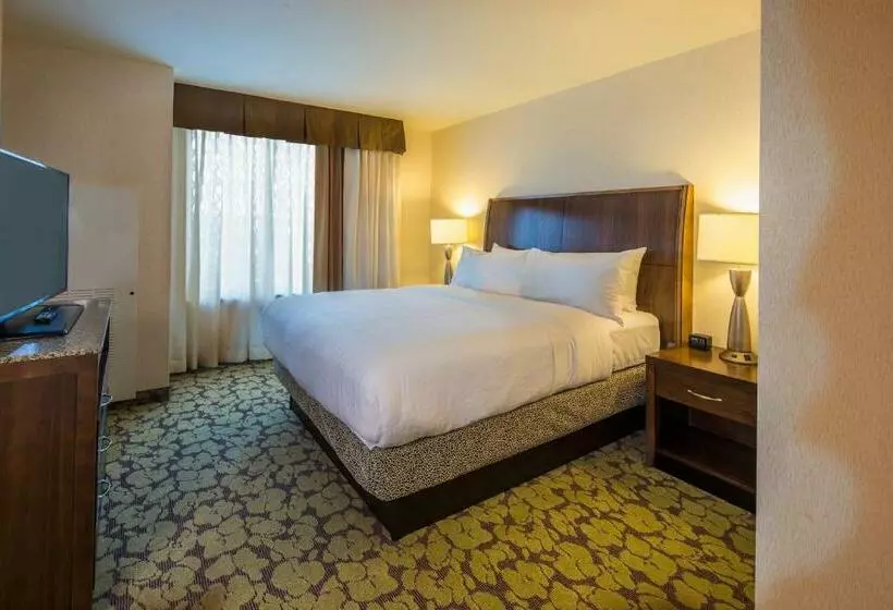 キングサイズベッドのスタンダードルーム, Hilton Garden Inn Uniontown