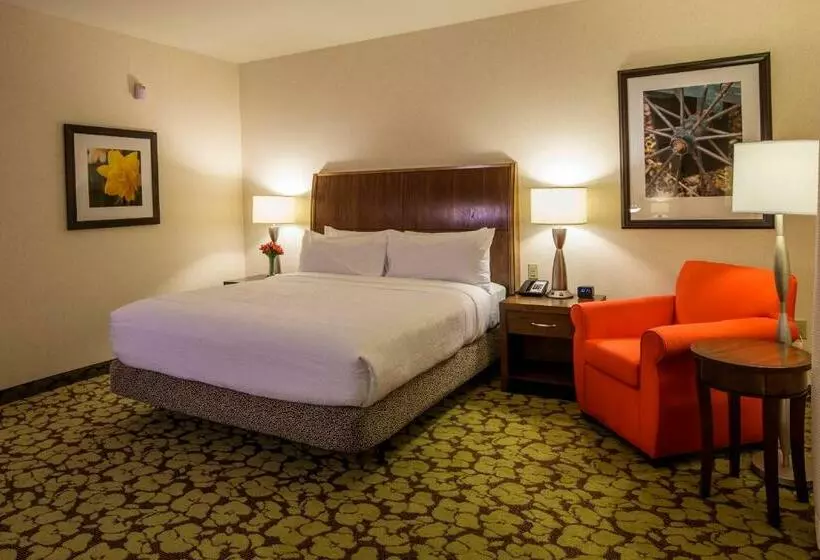 キングサイズベッドのスタンダードルーム, Hilton Garden Inn Uniontown