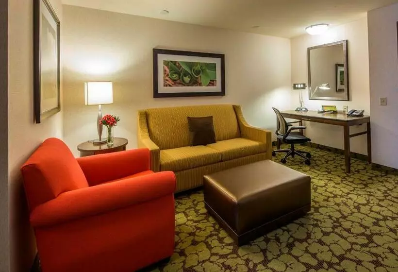 キングサイズベッドのデラックススイート, Hilton Garden Inn Uniontown