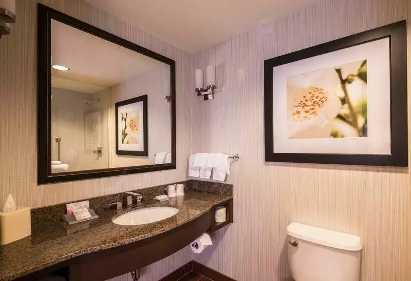 キングサイズベッドのスタンダードルーム, Hilton Garden Inn Uniontown