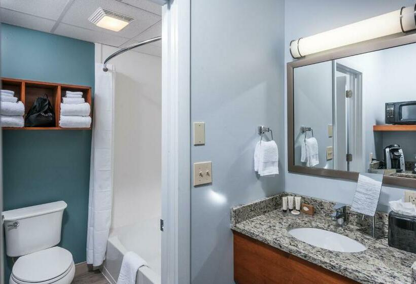 기본룸, Rockland Harbor