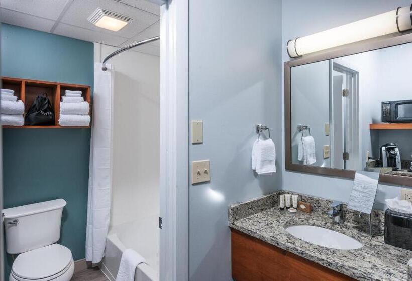 전망 스탠다드 룸 더블 침대, Rockland Harbor