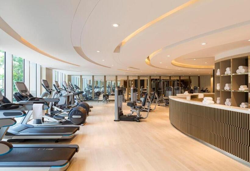 استودیو استاندارد با چشمانداز, Studio City