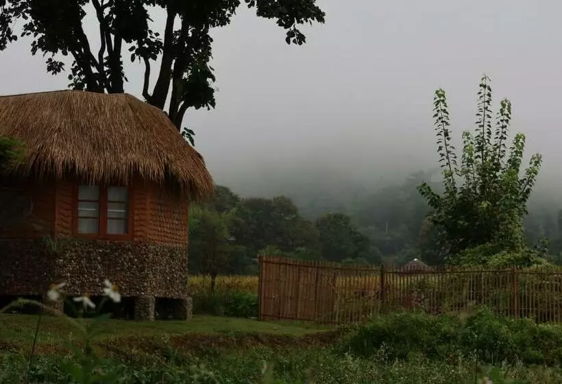 スーペリアールーム, The Countryside Pai