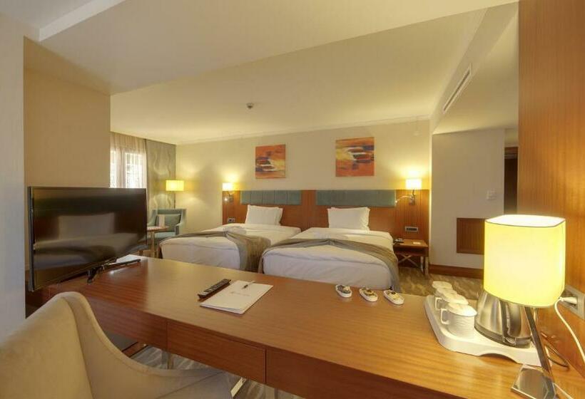 اتاق استاندارد, Lamec Hotel Business