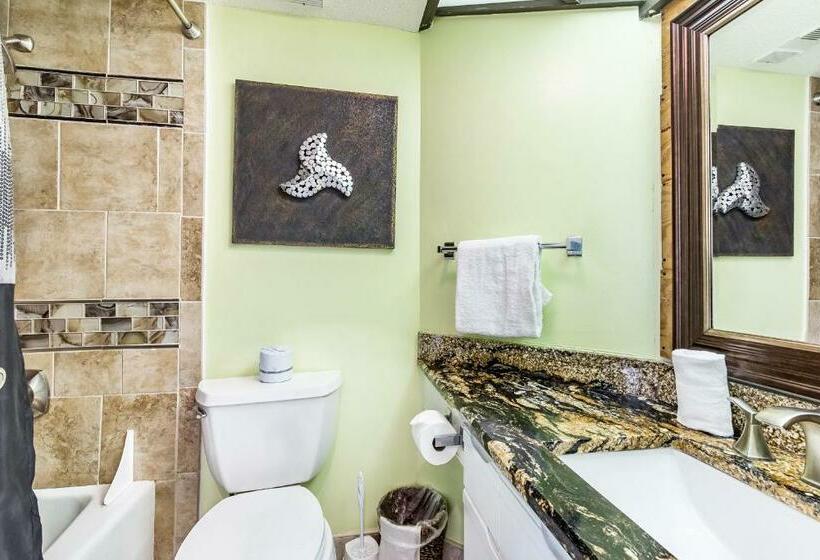 2ベッドルームアパートメント, East Pass 208