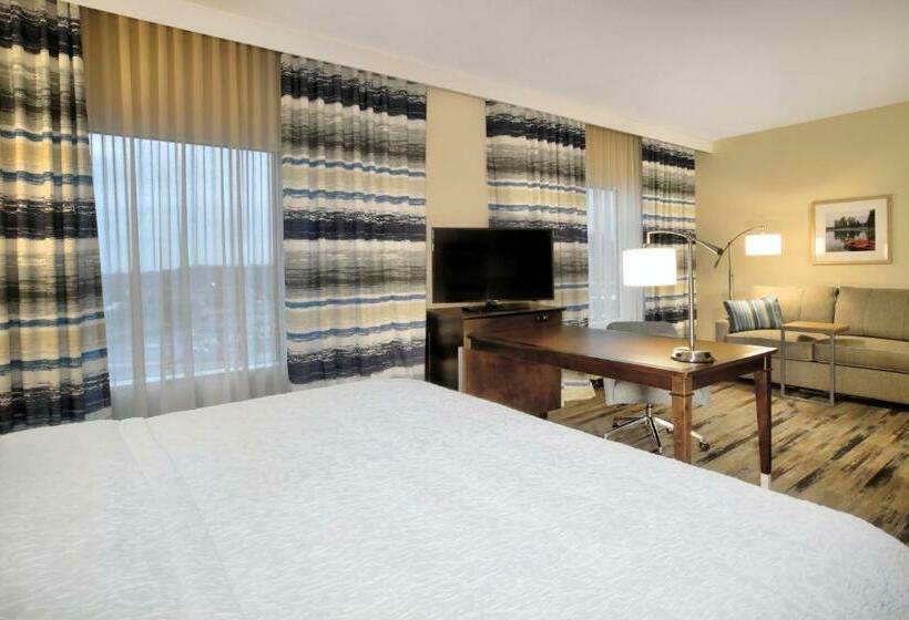 キングサイズベッドのデラックススイート, Hampton Inn & Suites Baltimore/aberdeen