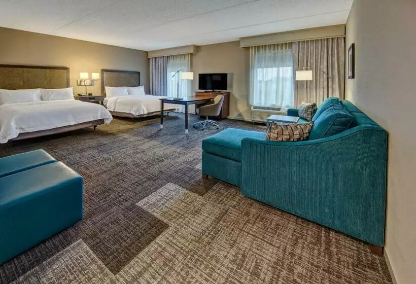 デラックススタジオ, Hampton Inn & Suites Nashville Hendersonville