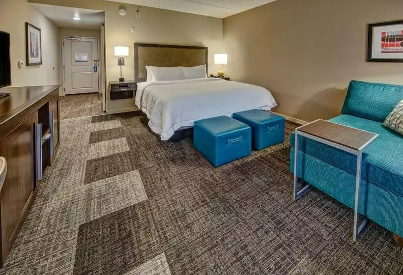 身障者適用キングサイズベッドルーム, Hampton Inn & Suites Nashville Hendersonville