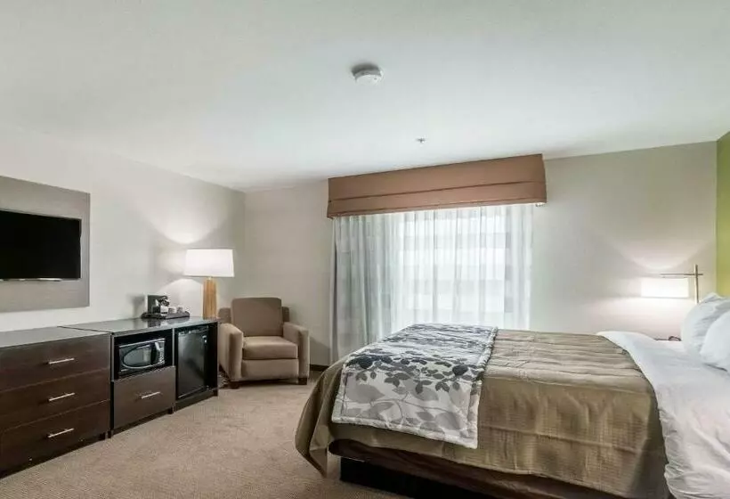 キングサイズベッドのスイートルーム, Sleep Inn & Suites College Station Near University