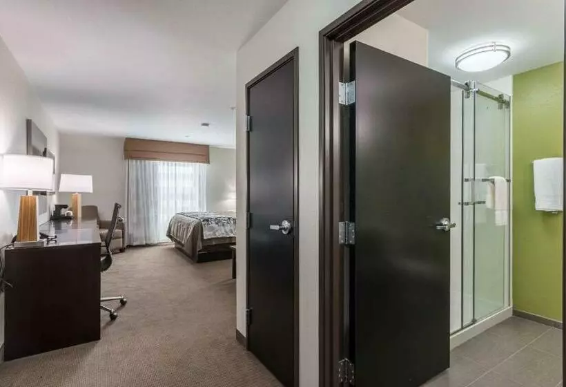 キングサイズベッドのスイートルーム, Sleep Inn & Suites College Station Near University