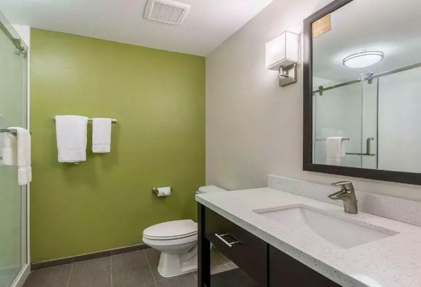 キングサイズベッドのスイートルーム, Sleep Inn & Suites College Station Near University