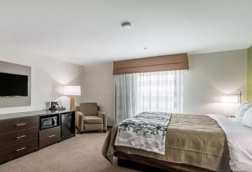 身障者適用スイートルーム, Sleep Inn & Suites College Station Near University