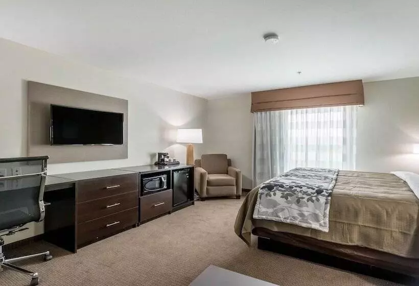 身障者適用スイートルーム, Sleep Inn & Suites College Station Near University