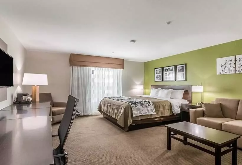 身障者適用スイートルーム, Sleep Inn & Suites College Station Near University