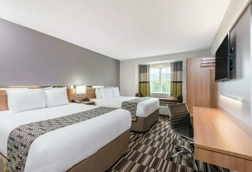 スタンダードルーム, Microtel Inn & Suites By Wyndham New Martinsville