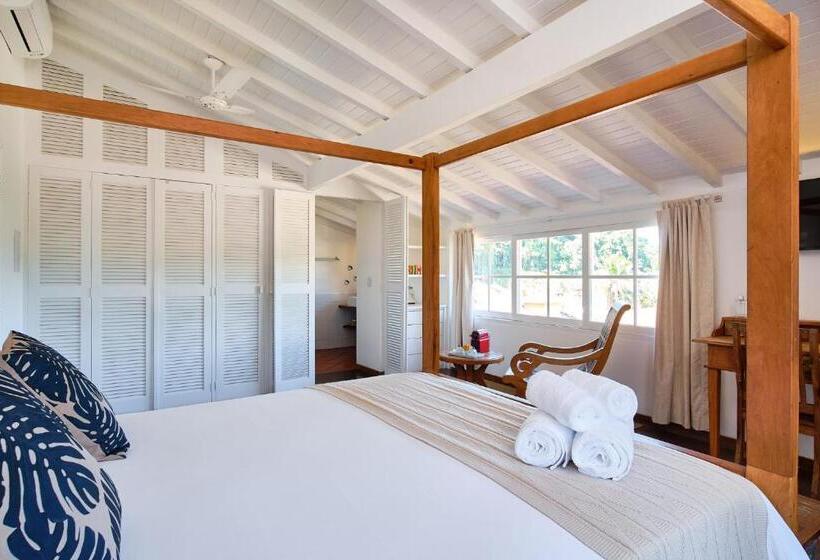 غرفة بريميوم, Boutique Hotel Carpe Diem