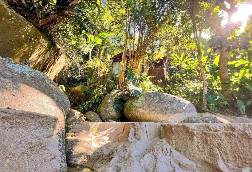 Хижина, Casa Luz