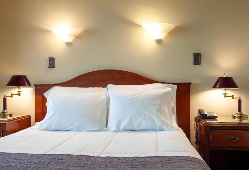 غرفة قياسية, El Dorado