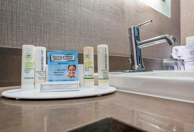 Люкс Вид на Горы, Springhill Suites By Marriott Gallup