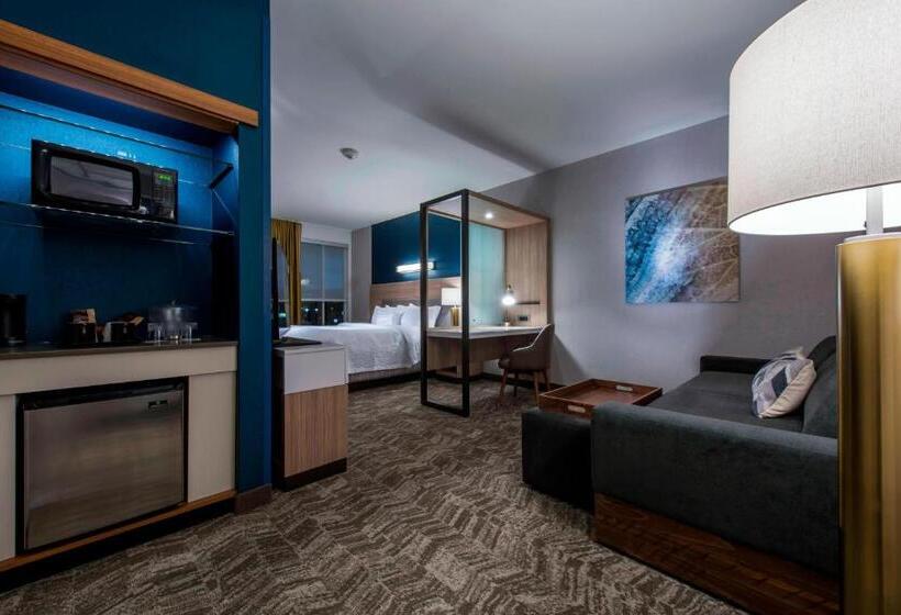 Люкс Вид на Горы, Springhill Suites By Marriott Gallup