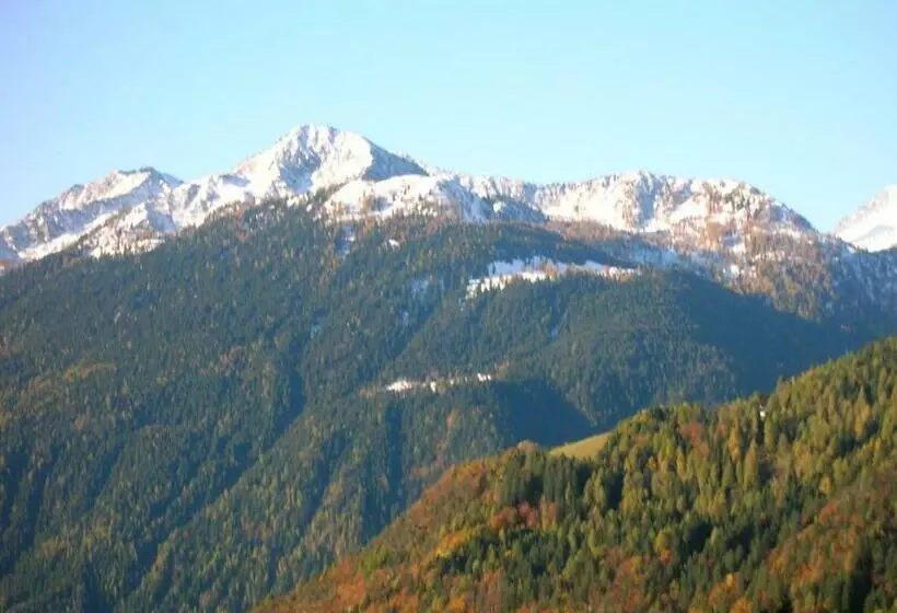 اتاق استاندارد یک نفره, Villa Fosine