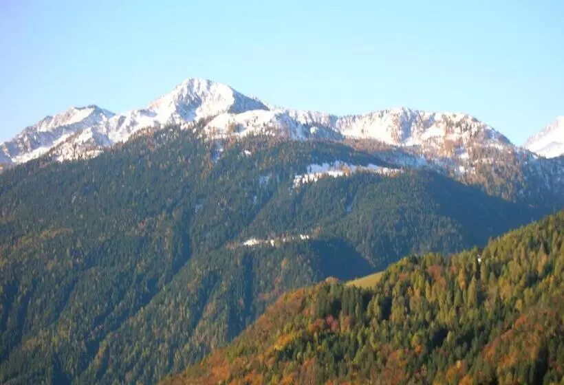 اتاق لوکس یک تخته, Villa Fosine